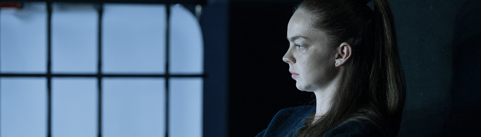 Mina-Švajger_Drama_Komarji