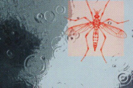 web-homepage-1840x920